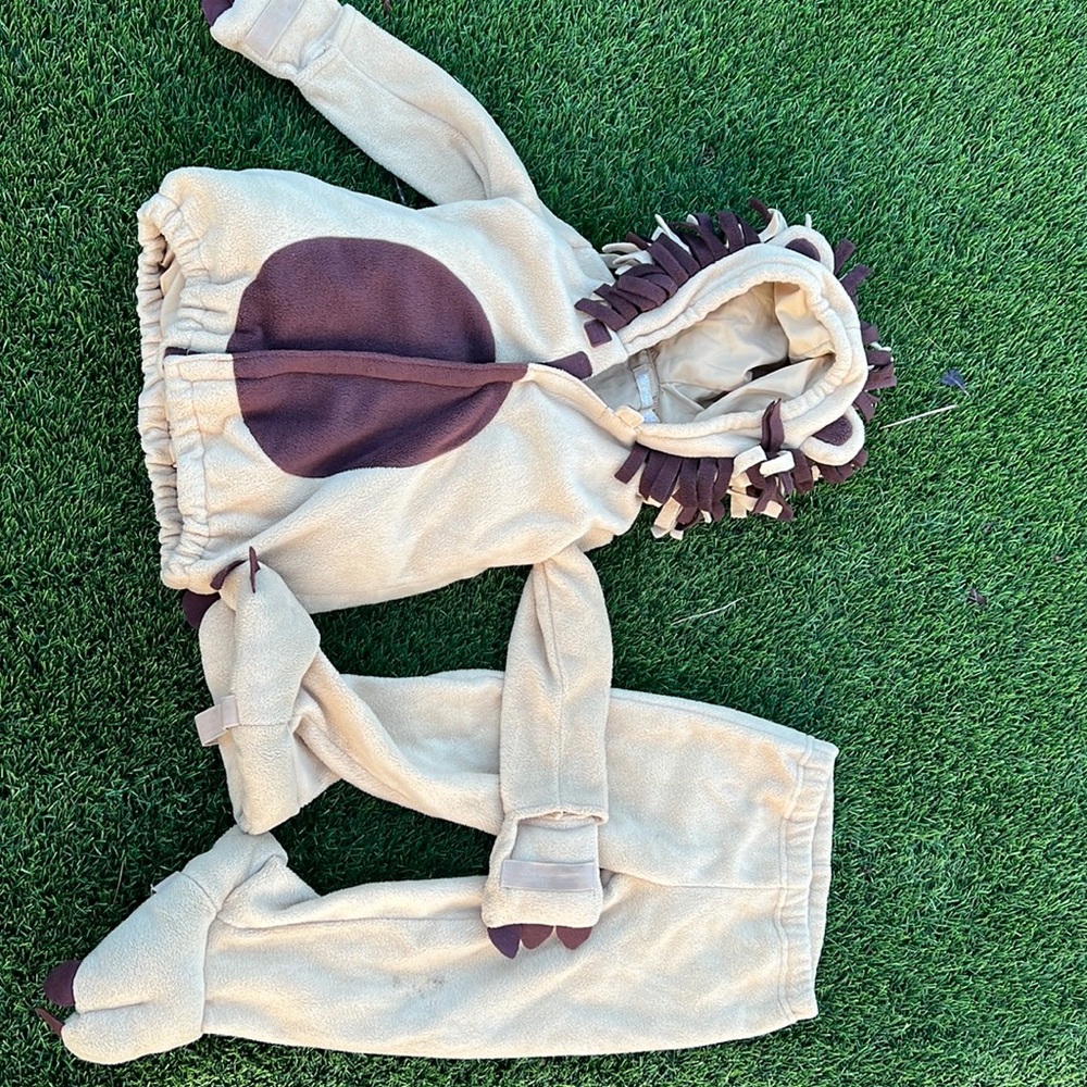 Kids lion costume